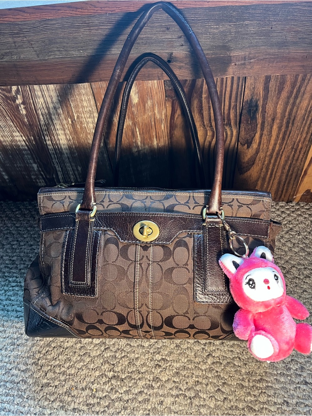 Chocolate Brown Coach bag